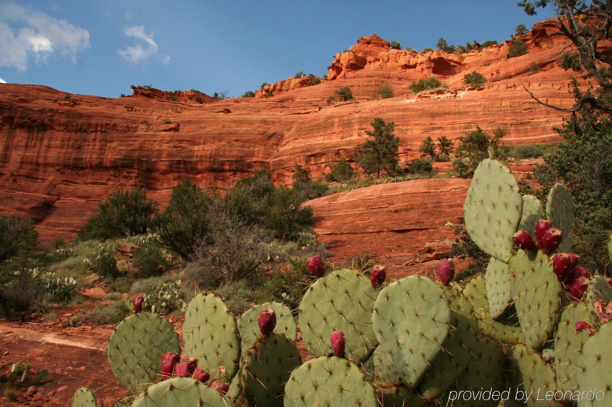 The Cliffs Otel Sedona Dış mekan fotoğraf